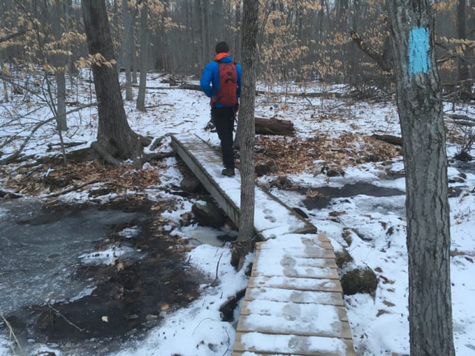 The Return of Curiosity. And Hot Chicken.